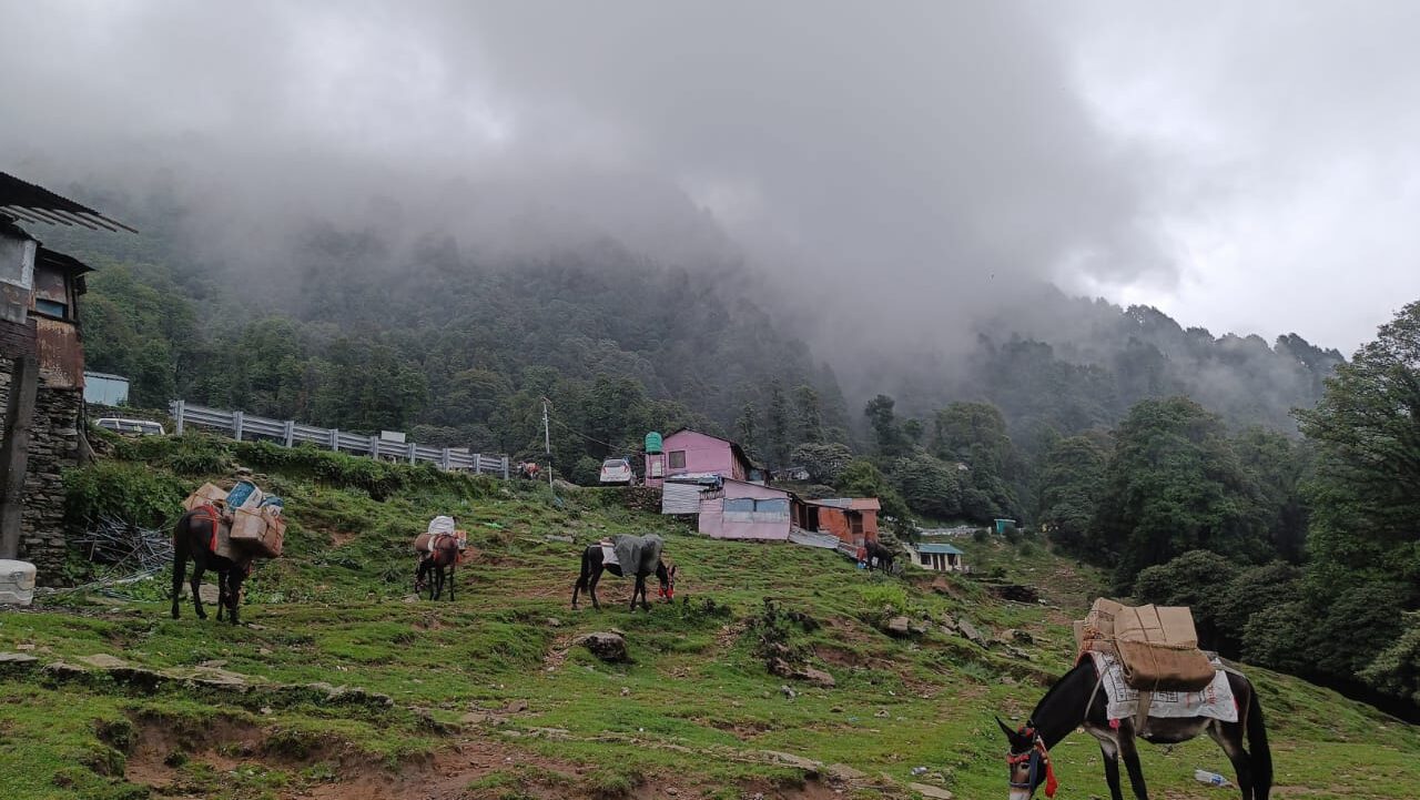Scenic view of Chopta valley with lush green meadows, pine trees, and snow-capped Himalayan peaks in the background.
