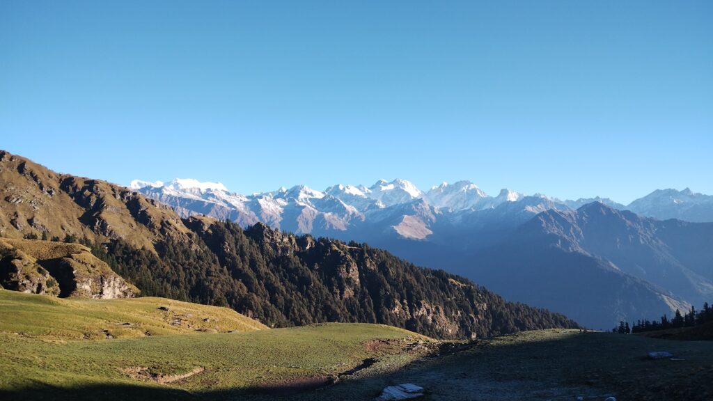 Snow-capped Himalayan peaks viewed from a lush green meadow under a clear blue sky